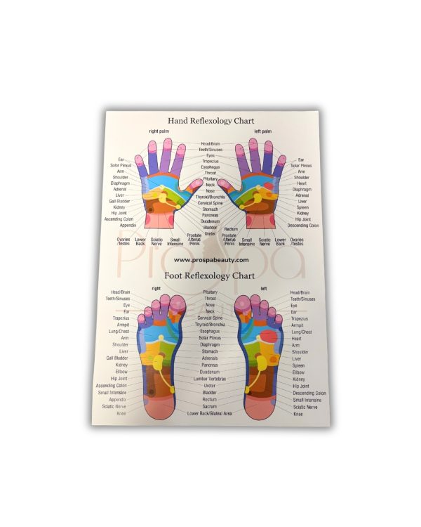 Reflexology detail table Reflexology detail table