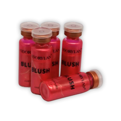 BB Blush Tint Course Kit BB Blush Tint Course Kit