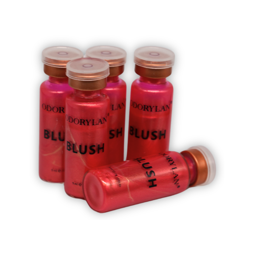 BB Blush Tint Course Kit