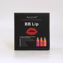 BB Lip Tint Kit BB Lip Tint Kit